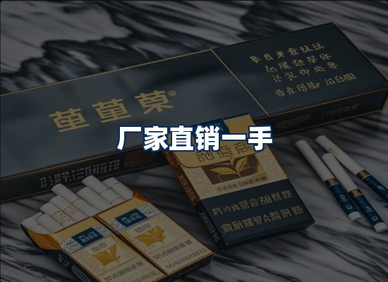 专业团队办公环境
